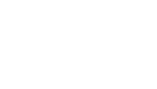 ATIME Auction